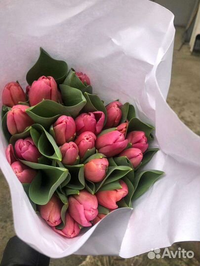 Тюльпаны к 8 марта оптом