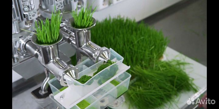 Видеосъемка. Видеограф