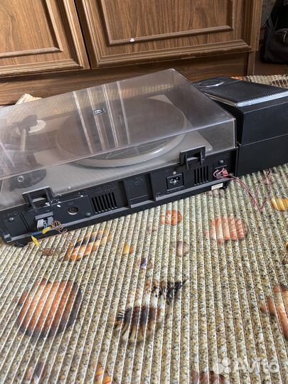 Проигрыватель серенада