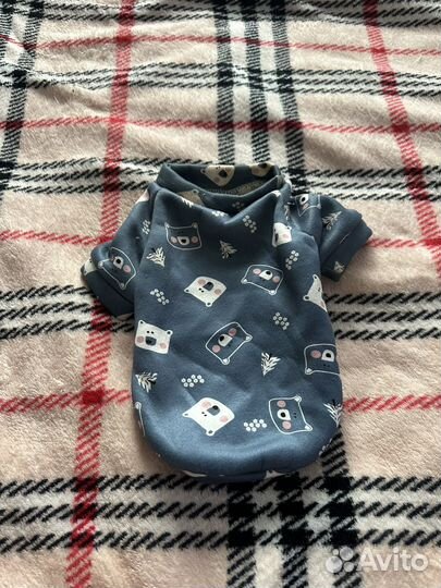 Одежда для собак