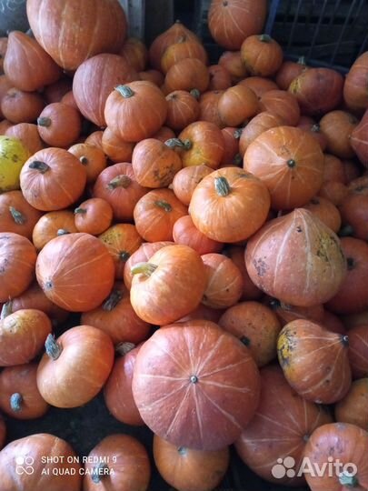 Продукты питания