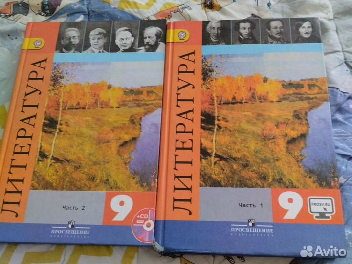 Литература 9 класс, Коровина