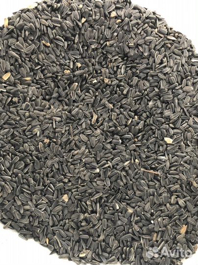 Семечки подсолнечника для птиц