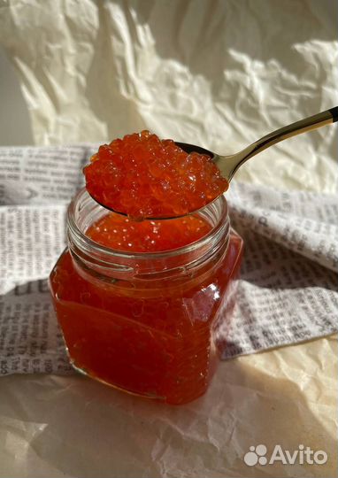 Красная икра кеты нерест 2023