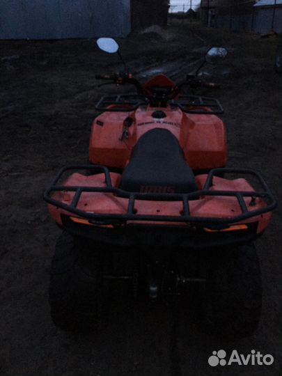 Ирбис атв250