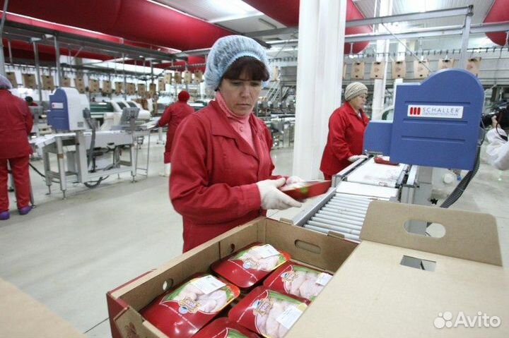 Работа Вахта с Едой Жильем Упаковщик мяса птиц