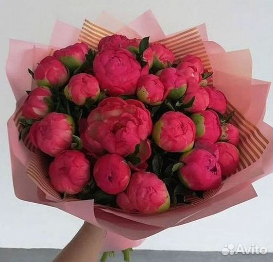 Пионы Цветы Доставка