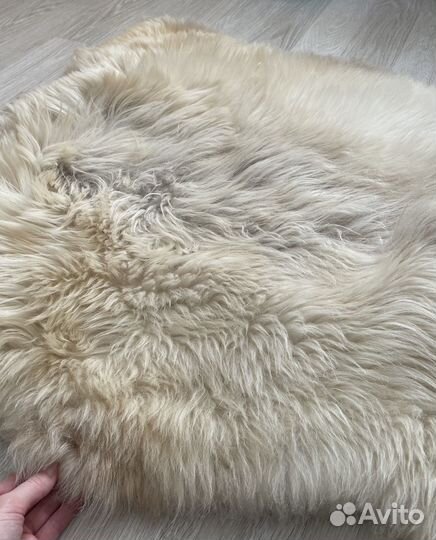 Шкура овечья шкурка