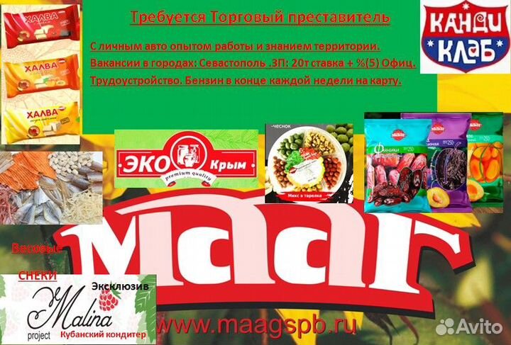 Торговый представитель на авто
