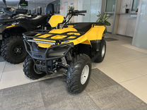 Квадроцикл Irbis ATV 200 LUX