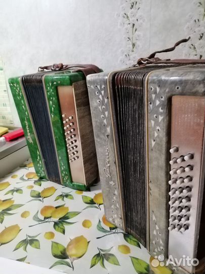 Гармонь Весна