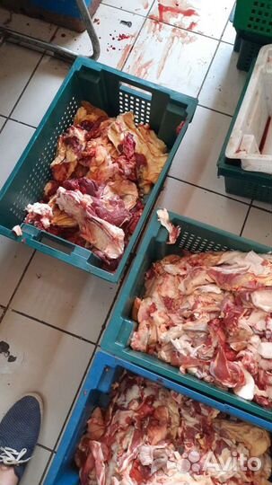 Мясо говядина на корм для животных