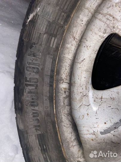 Contyre Arctic Ice 195/65 R15