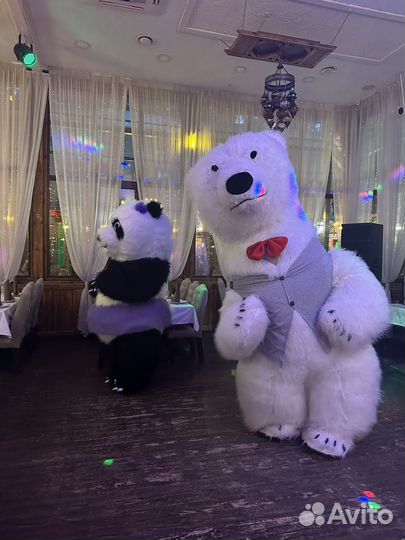 Белый мишка, панда, чебурашка на поздравление