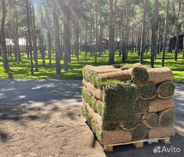 Рулонный Газон Волгоград Опт и Розница в наличии