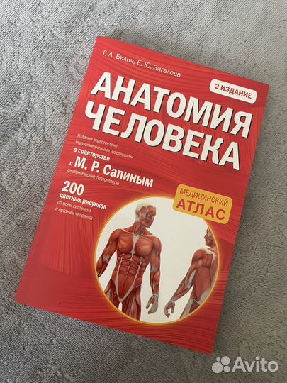 Анатомия человека 2023 год