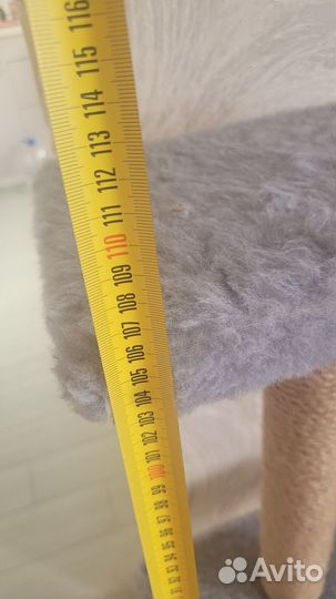 Когтеточка