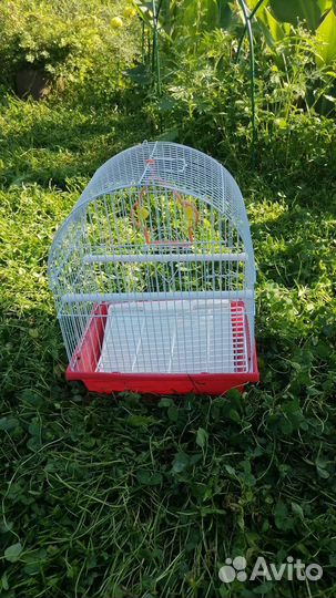 Клетка для мелких животных (грызунов) и птиц