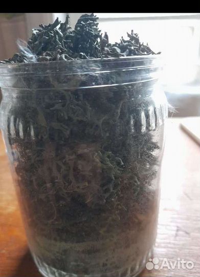 Трава парезная/пармелия блуждающая/солодка голая