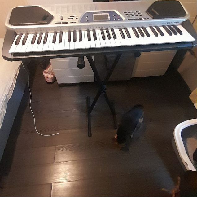 Синтезатор casio