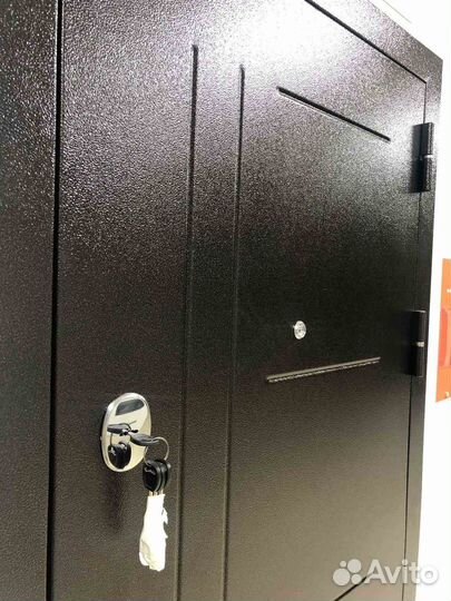 Дверь входная Дельта