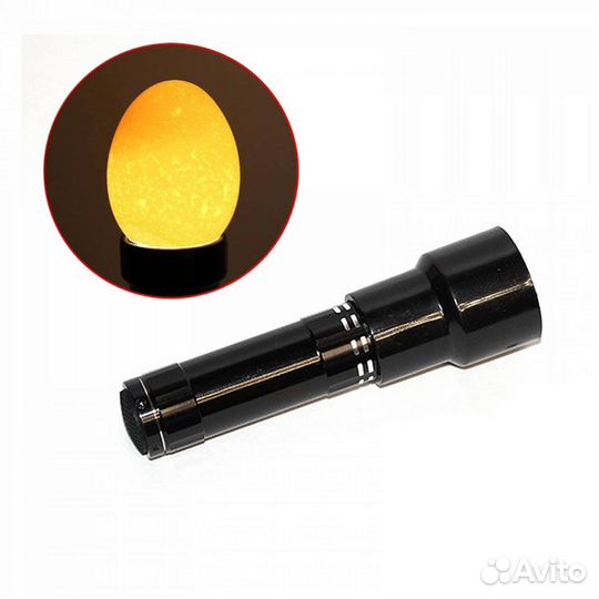 Овоскоп для яиц