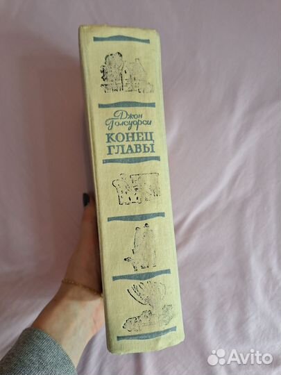 Книга Джон Голсуори Конец главы