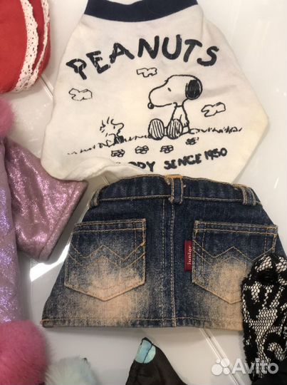 Одежда для собак б/у в отличном состоянии