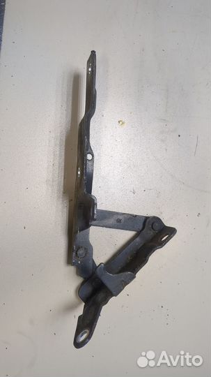 Петля капота Hyundai Coupe (Tiburon), 2007
