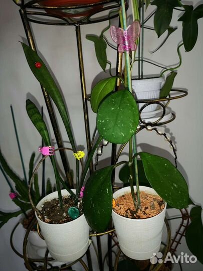 Стойка вместе с цветами