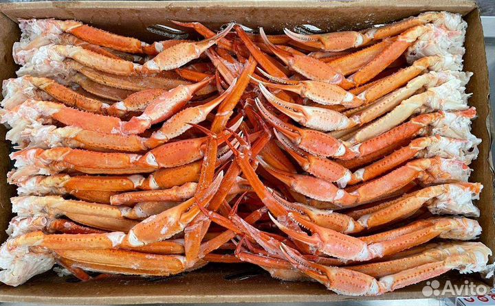 Клешни краба стригуна