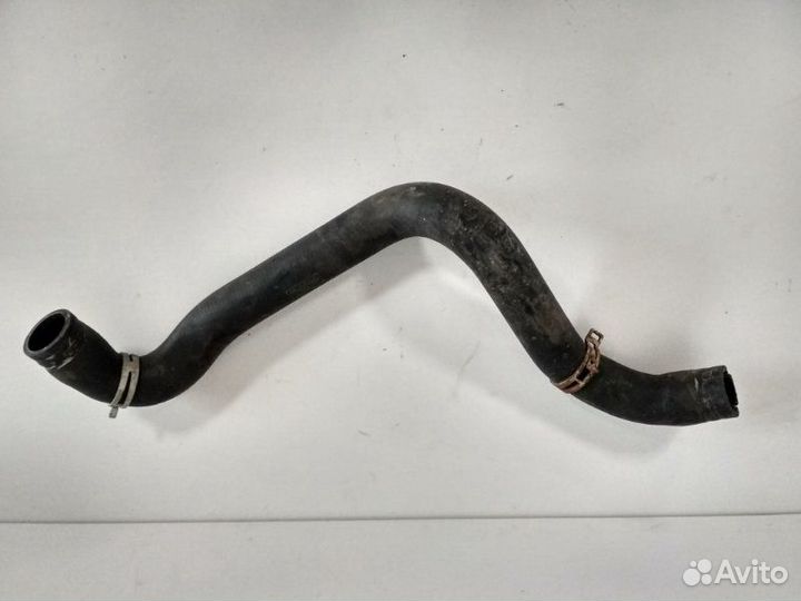 Патрубок радиатора верхний Ford Focus 2