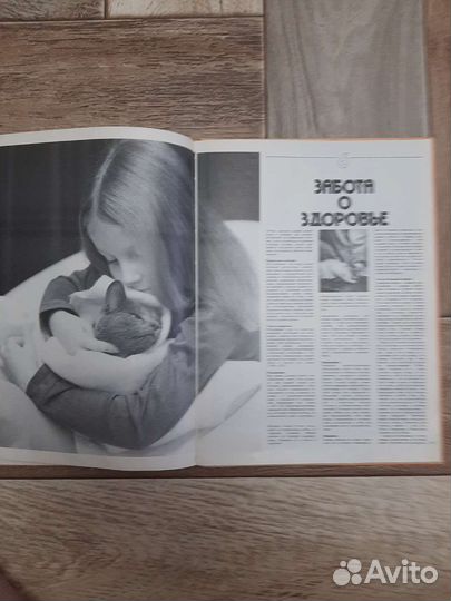 Книга для любителей кошек