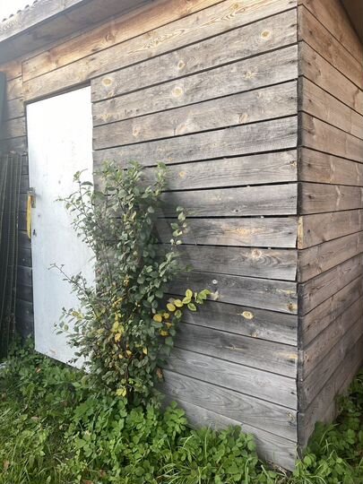 Участок 5 сот. (СНТ, ДНП)