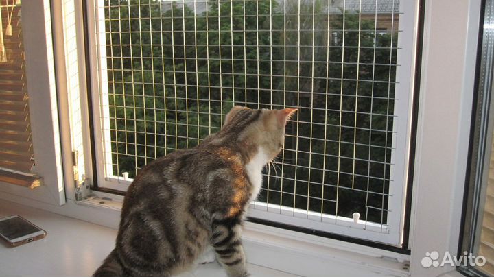 Москитная сетка на окно антикошка