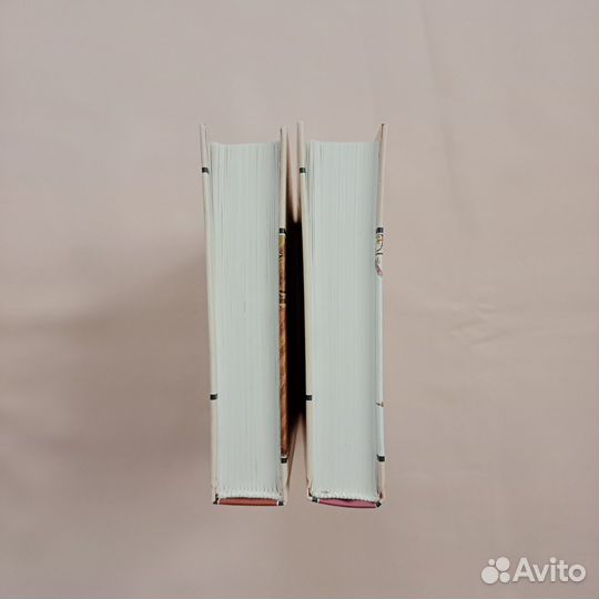 Чарльз Диккенс Жизнь Дэвида Копперфилда в 2 книгах