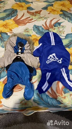 Одежда для маленьких собак s и m