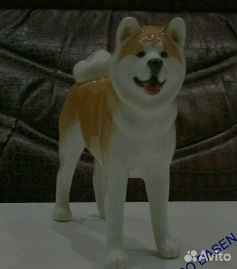 Акиту ину фарфор