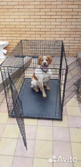 Клетка вольер для собак