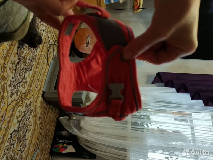 Шлейка для кошки