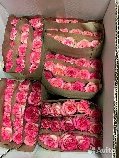 Роза без посредников. Букеты от 15 роз