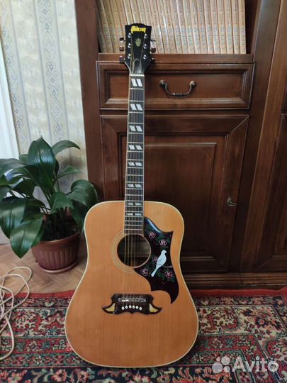 Акустическая гитара Tomson TGF-351
