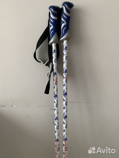 Горные лыжи fischer и палки rossignol