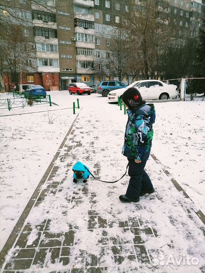 Зимний комбинезон для собаки