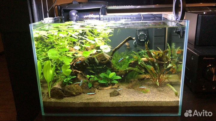 Аквариум изготовление