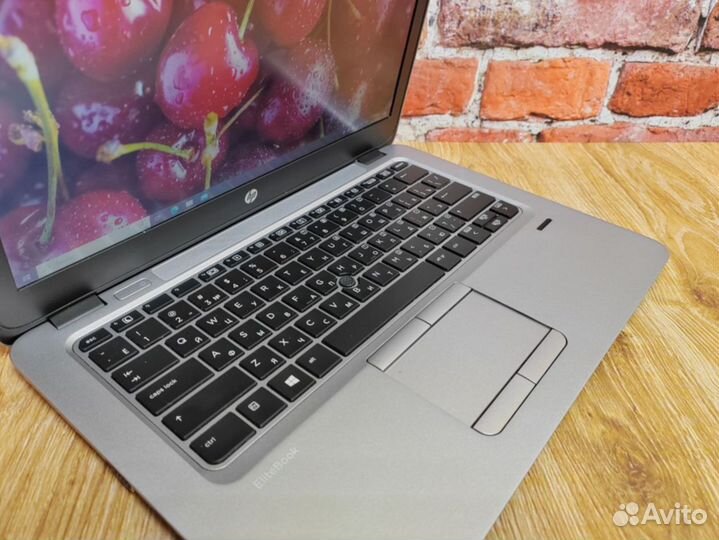 8gb PRO A8 Игровой HP EliteBook 725 G3 Ноутбук