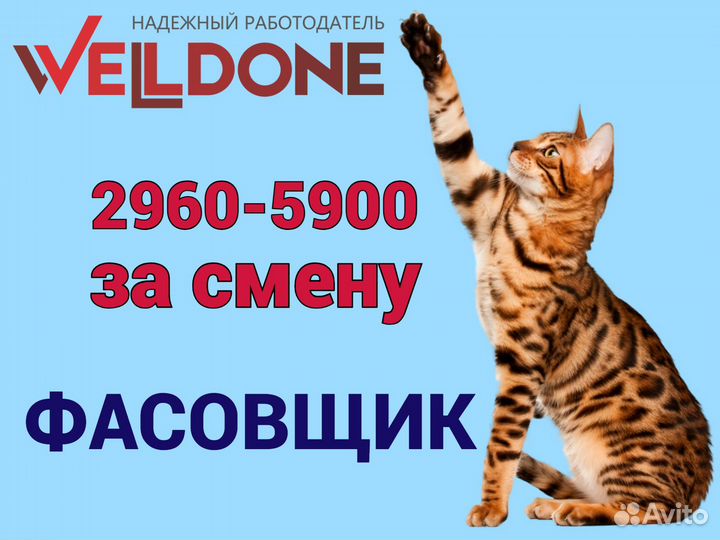 Фасовщик готовой продукции (развозка питание)