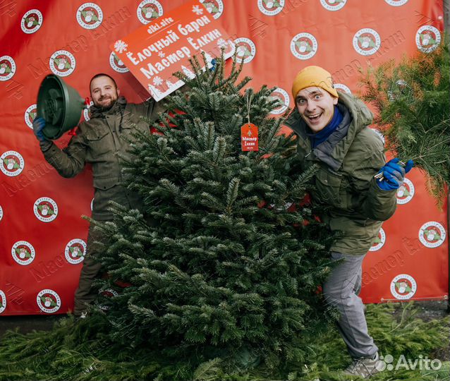 Готовый бизнес на новогодних ёлках