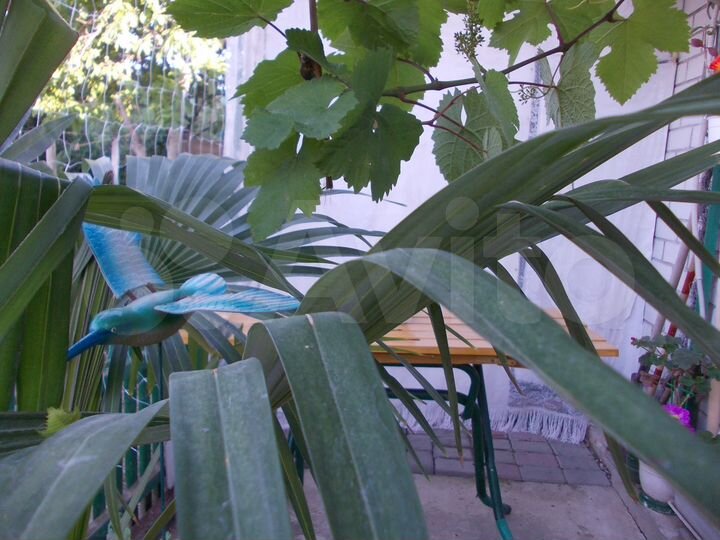 1-к. квартира, 44 м², 1/1 эт.