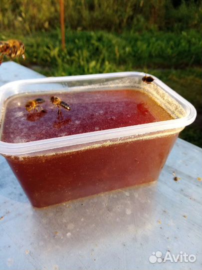 Мёд алтайский (разнотравье с примесью гречихи)